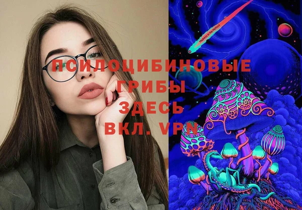 мяу мяу мука Дмитров