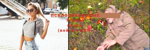 мяу мяу мука Дмитров